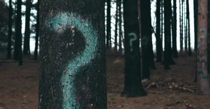 বালের যোগাযোগ 